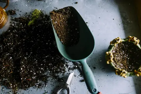 Saksı, toprak ve bahçe makası
